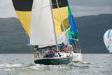 oystercatcher 3245c whyw16 sun 800 1140w